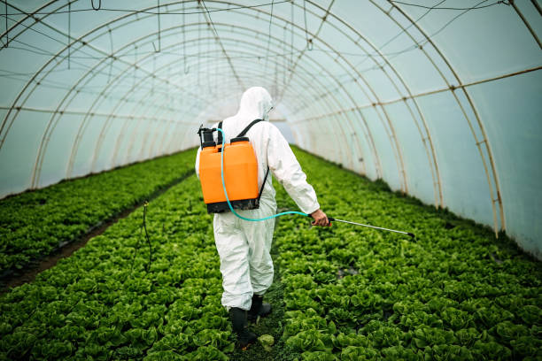 Best Pest Inspection Near Me  in Mableton, GA