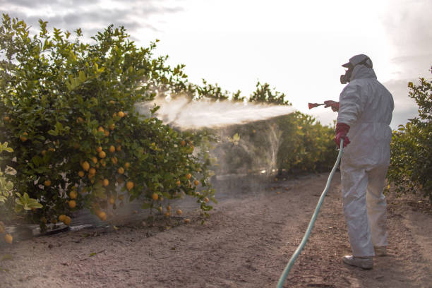 Reliable Mableton, GA Pest Control Solutions