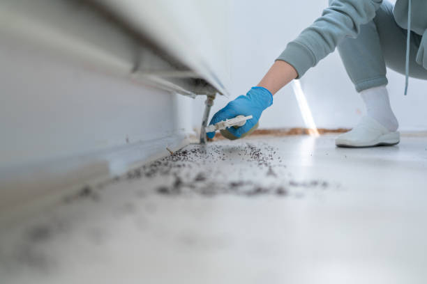 Best Local Pest Control Services  in Mableton, GA